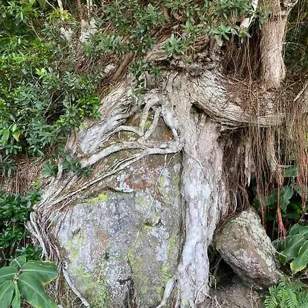 Moradia Alegre Com Vista Deslumbrante *