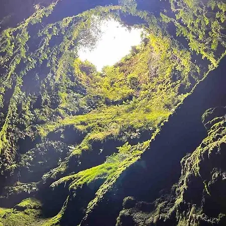 Moradia Alegre Com Vista Deslumbrante * Serreta