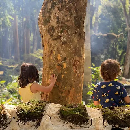 Moradia Alegre Com Vista Deslumbrante * Serreta