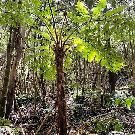 Moradia Alegre Com Vista Deslumbrante Dom wakacyjny