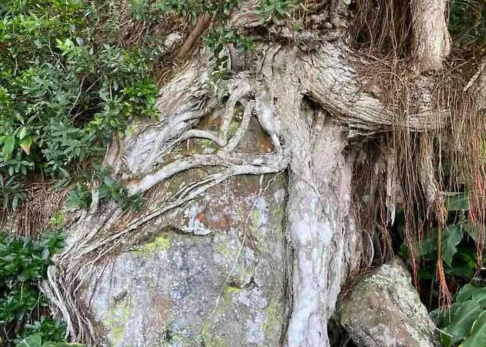 Moradia Alegre Com Vista Deslumbrante *