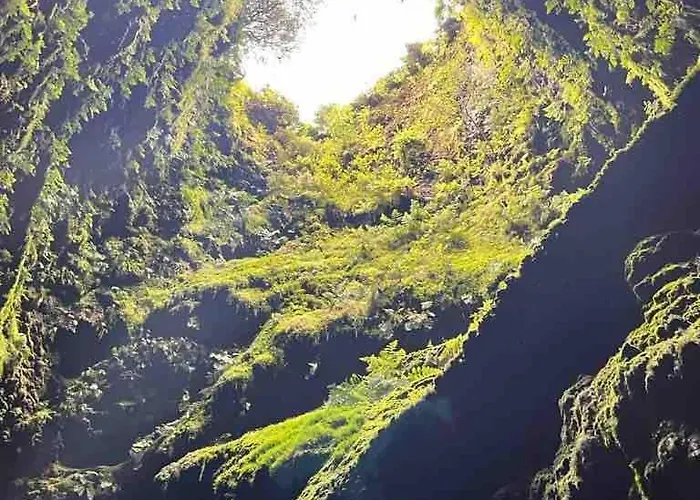 Moradia Alegre Com Vista Deslumbrante * Serreta