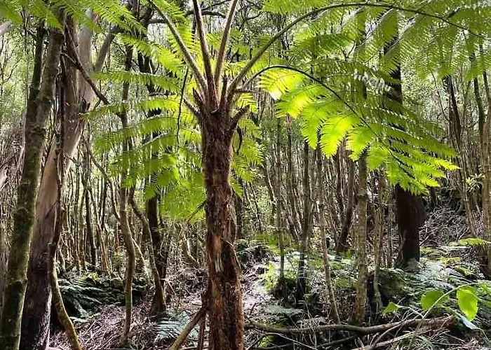Moradia Alegre Com Vista Deslumbrante Vakantiehuis