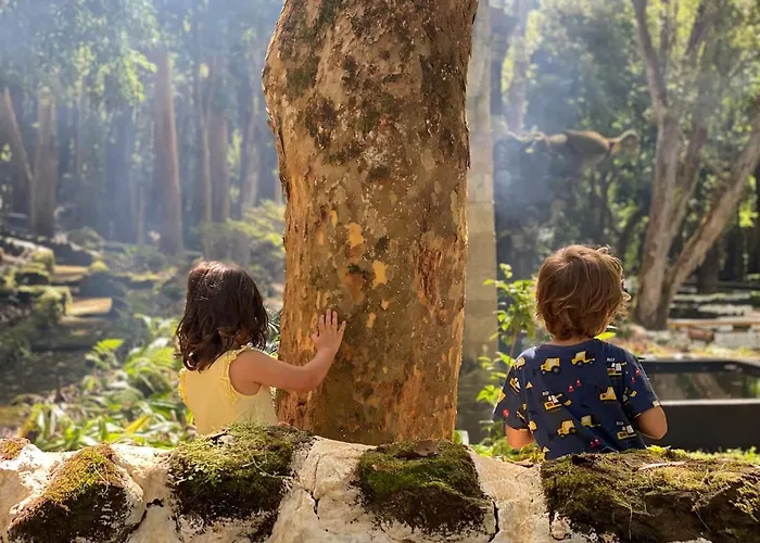 Moradia Alegre Com Vista Deslumbrante * Serreta