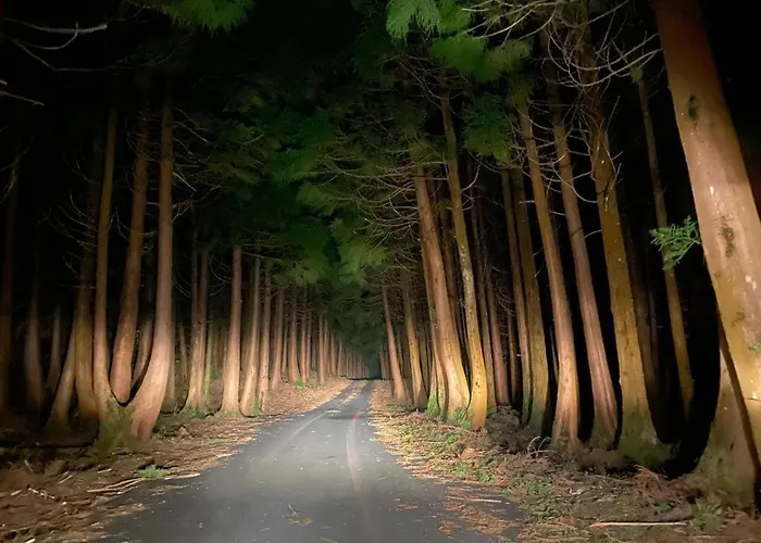 Moradia Alegre Com Vista Deslumbrante Vakantiehuis *